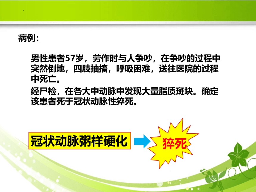 6.1动脉粥样硬化的危险因素 课件(共35张PPT)《病理学》同步教学（人卫版）