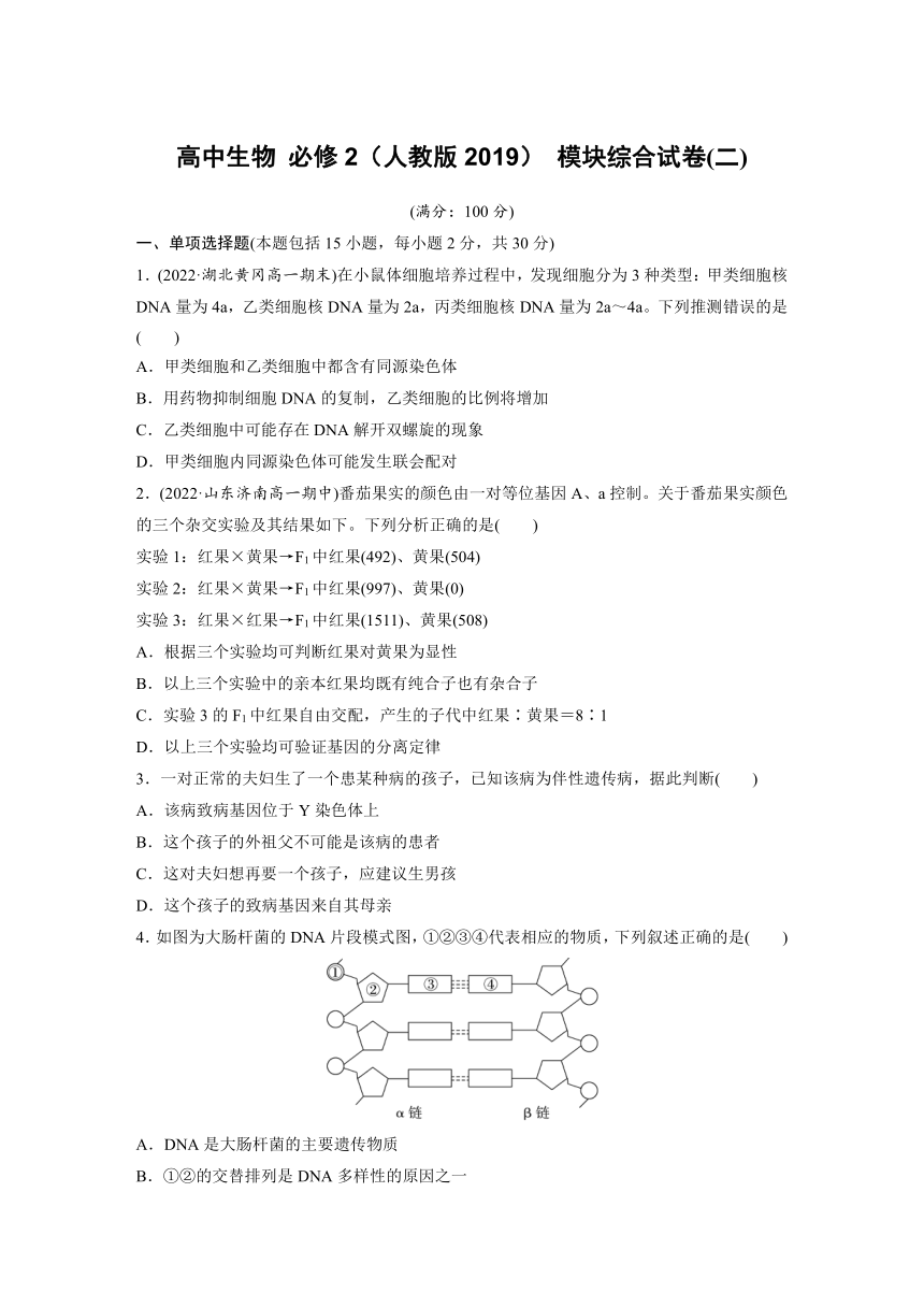 高中生物 必修2（人教版2019） 模块综合试卷(二)（word版含答案）