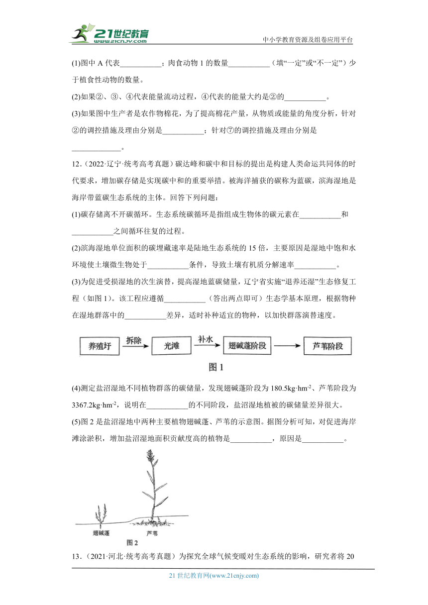 五年2018-2022高考生物真题按知识点分类汇编79-生物与环境-生态系统的物质循环（含解析）