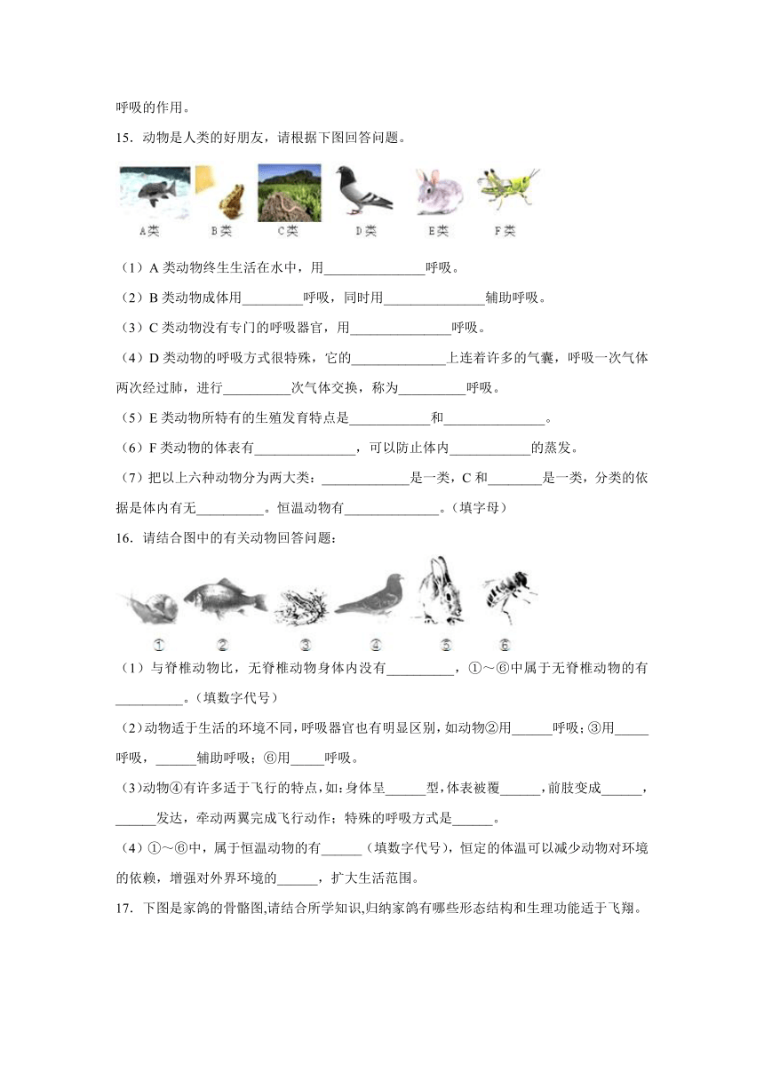 【会考专训】中考生物会考复习专项训练7：动物的主要类群（含解析）