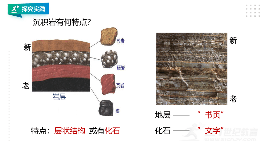 第3节 组成地壳的岩石(课件 29张PPT)
