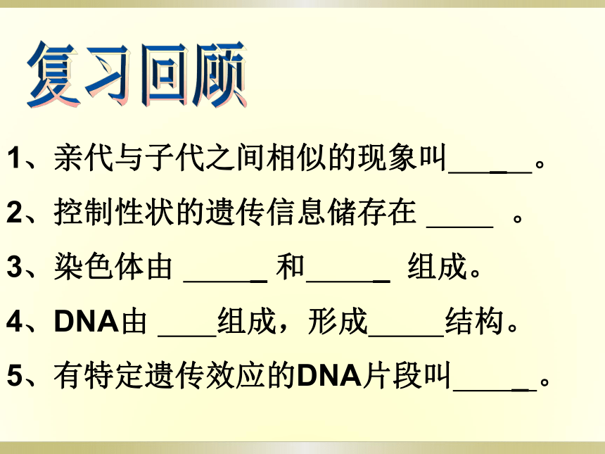 苏教版八年级下册生物 22.2人的性状和遗传 课件