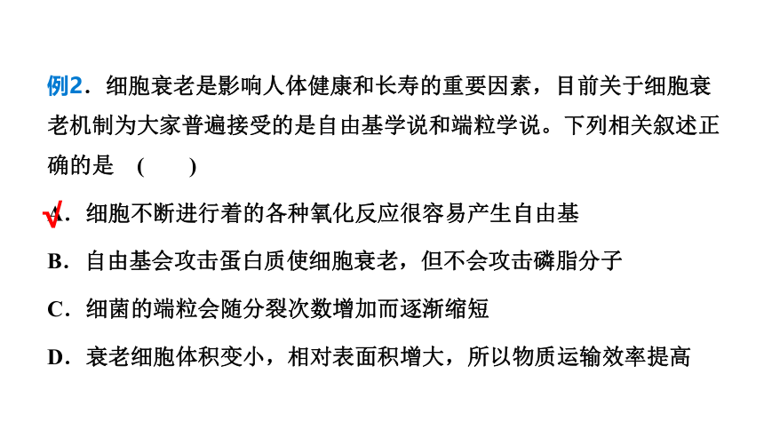 生物人教版（2019）必修1 6.3细胞的衰老和死亡  课件 （共41张ppt）