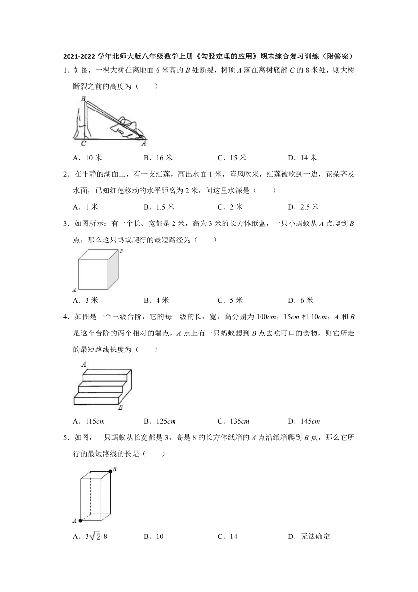 2021-2022学年北师大版八年级数学上册1.3勾股定理的应用 期末综合复习训练 （Word版含答案）