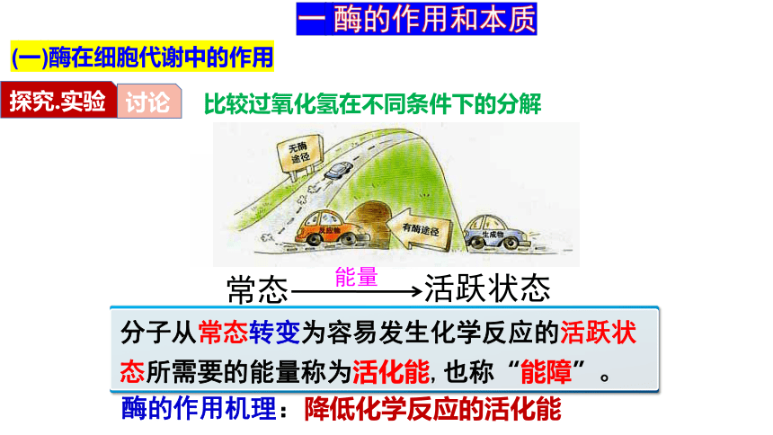 5.1降低化学反应活化能的酶课件(共41张PPT)