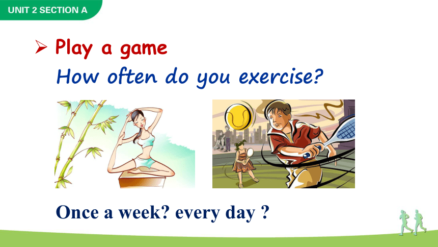 Unit 2  How often do you exercise Section A Grammar Focus-3c课件(共33张PPT)