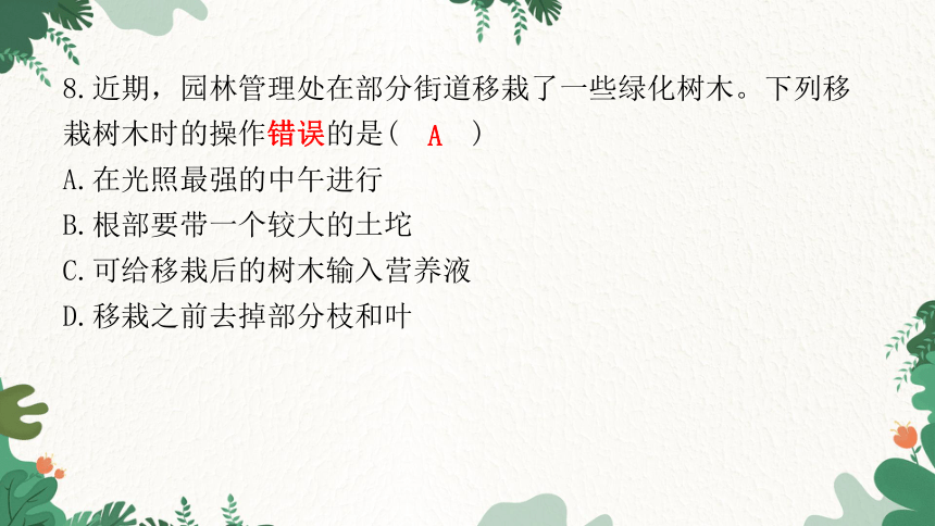 2023年广东省初中学业水平考试仿真试卷(二)习题课件(共41张PPT)