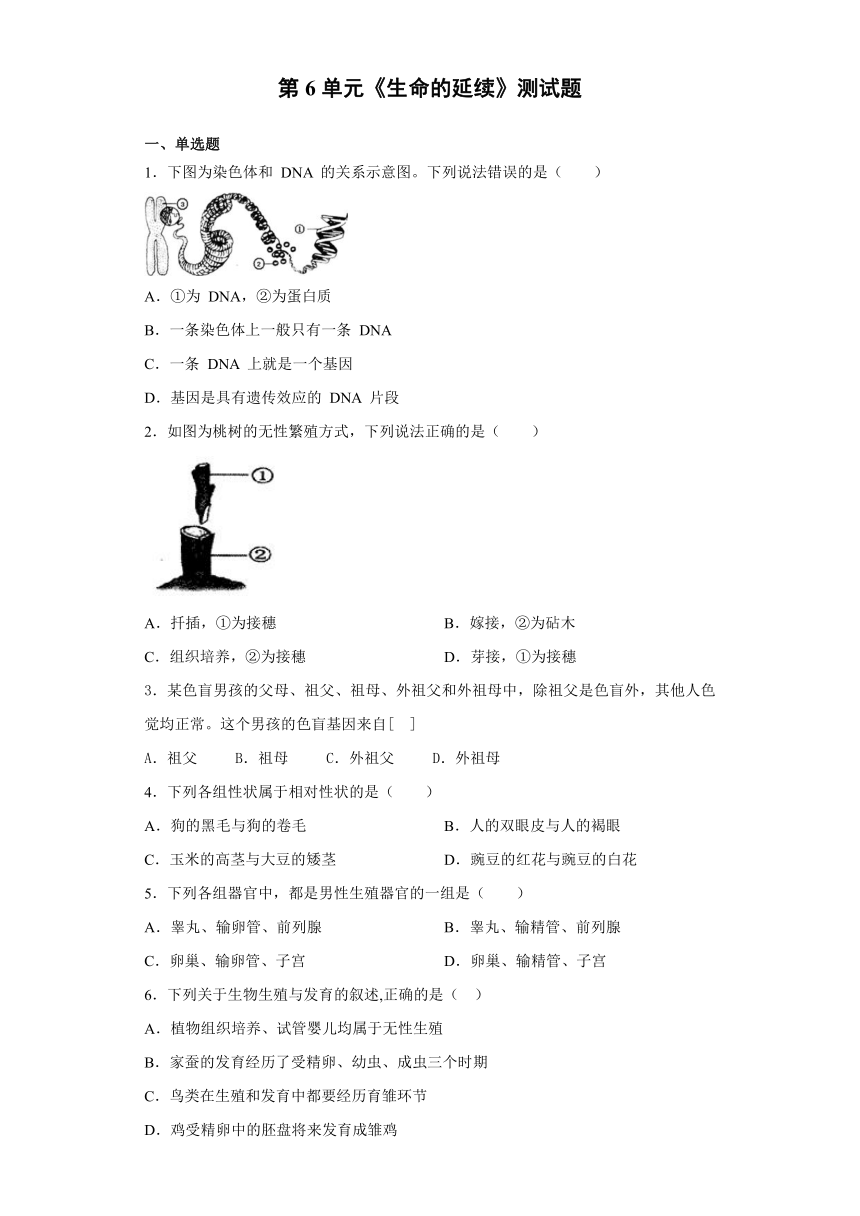 北师大版初中生物八年级上册第6单元《生命的延续》测试题（word版含答案）