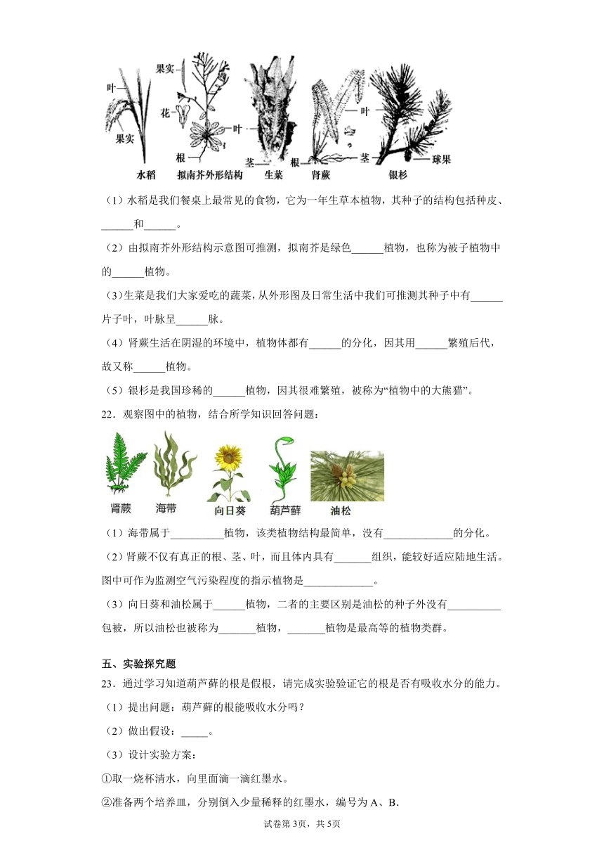 3.1 生物圈中有哪些绿色植物 综合训练（word版含答案）七年级上册生物 人教版