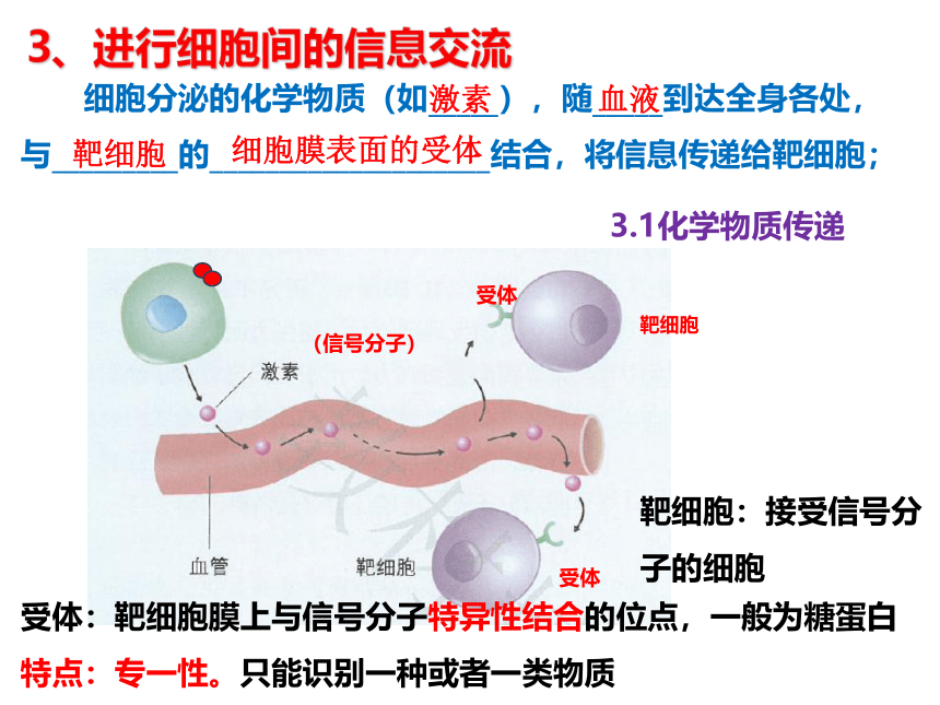 2021-2022学年高一上学期生物人教版必修一3.1细胞膜的结构和功能课件（共39张PPT）