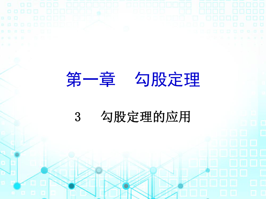 北师大版数学八年级上册1.3勾股定理的应用习题课件(共23张PPT)