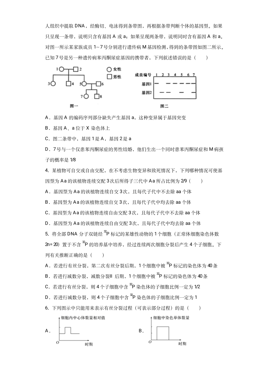 新疆维吾尔自治区喀什市2022届高三上学期11月全真模拟生物试题（PDF版含答案）