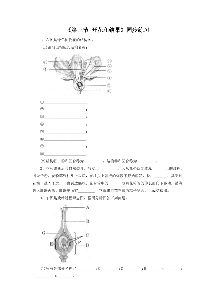 鲁科版六年级下册 第三节 开花和结果 习题（word版，含答案）