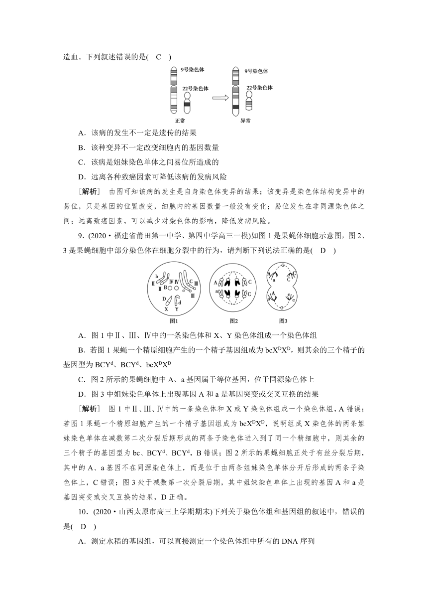 高中生物同步训练案 (21)染色体变异与育种（含答案详解）