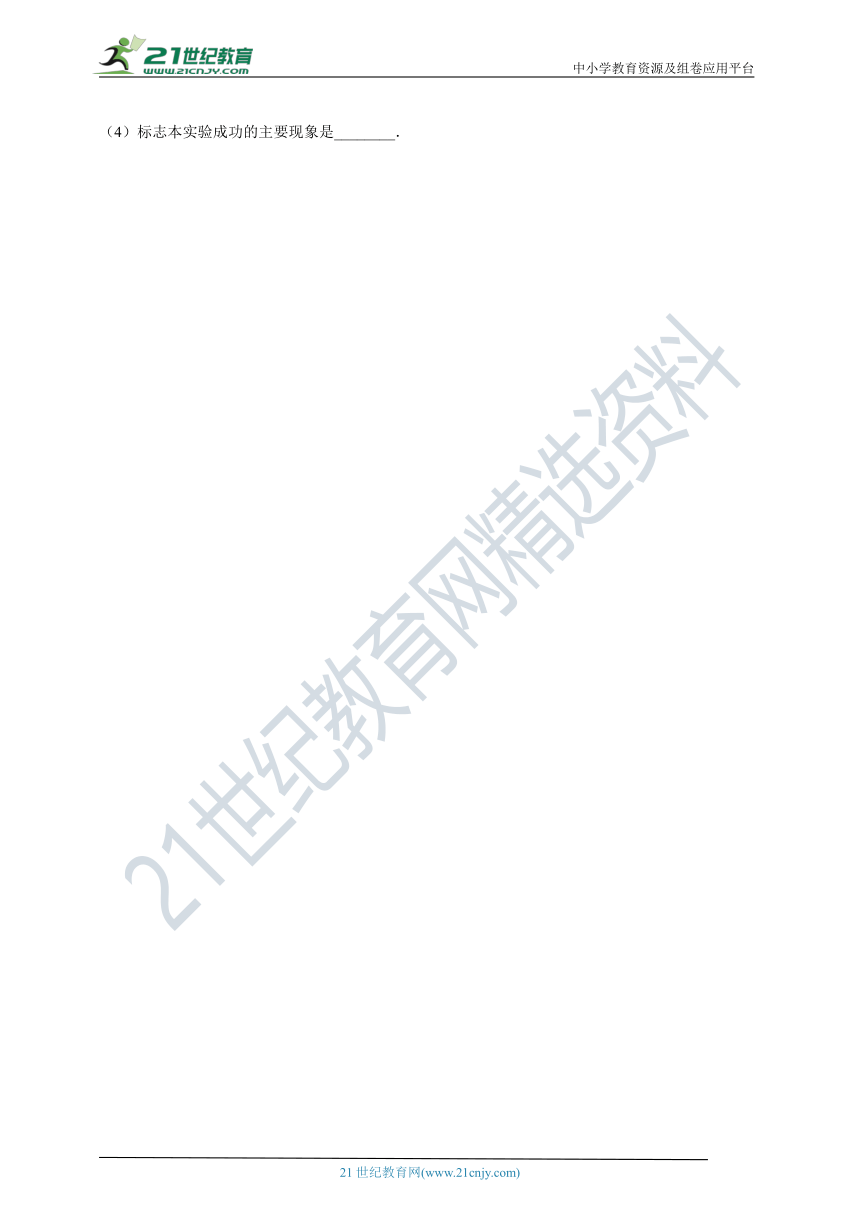 北京版2021初中生物七年级下册6.4呼吸与呼吸作用（含解析）