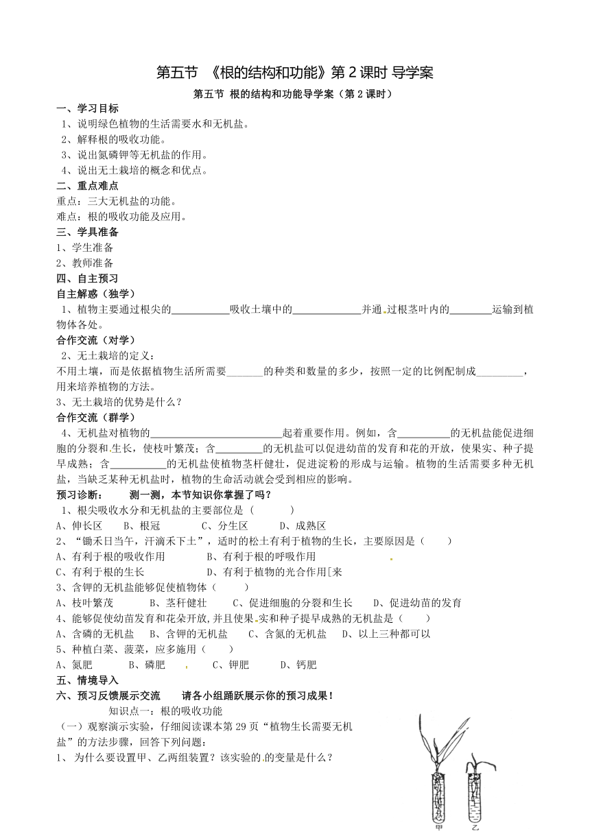 济南版生物八年级上册 4.1.5 根的结构和功能 第2课时 导学案（无答案）