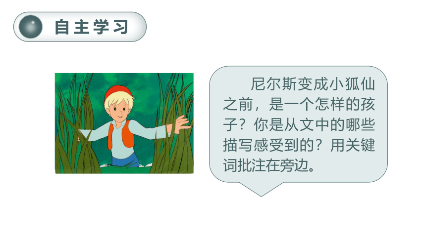 6.骑鹅旅行记（节选）课件（37张PPT)