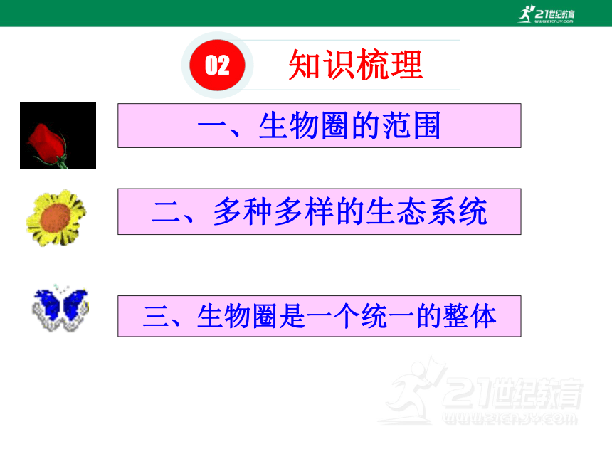 人教版七年级生物上册同步课堂系列1.2.3生物圈是最大的生态系统 (备课件 )(共29张PPT)