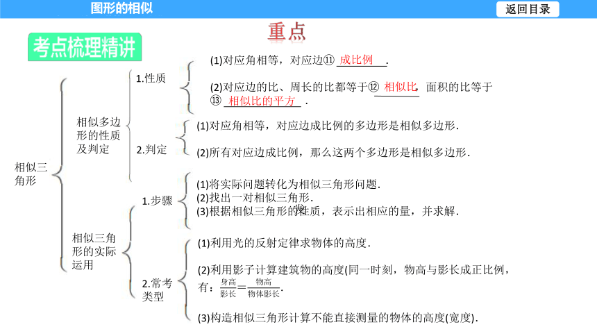 【大单元教学】鲁教版2023年八年级大单元 第九章图形的相似 课件（51张PPT）