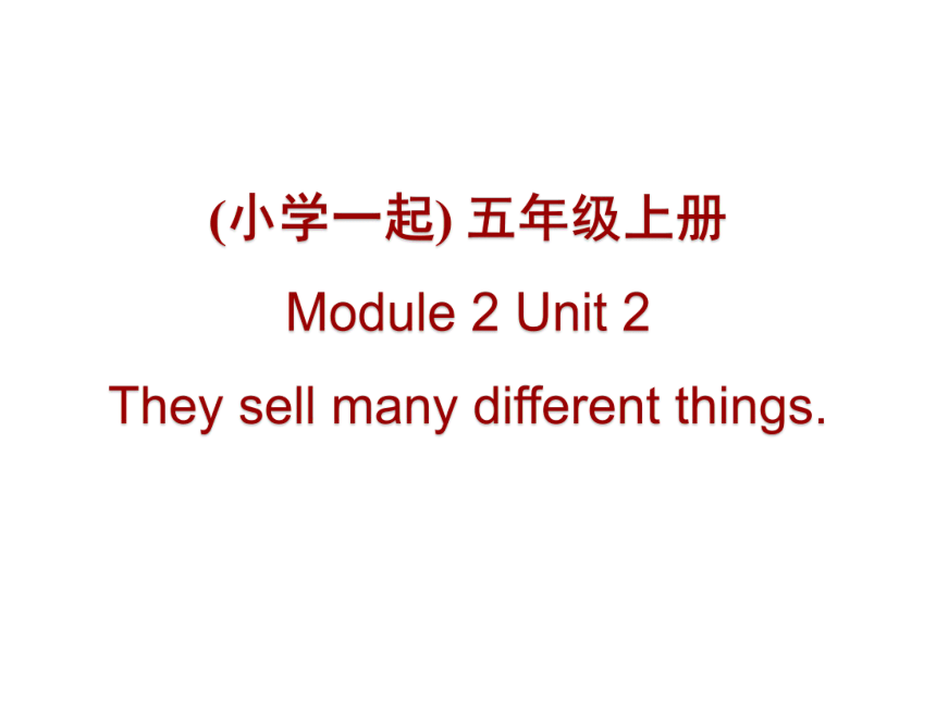 Module 2 Unit 2 They sell many different things.课件(共10张PPT)