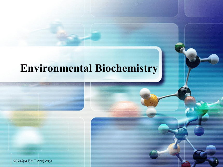 1.绪论 课件(共24张PPT)- 《环境生物化学》同步教学（机工版·2020）