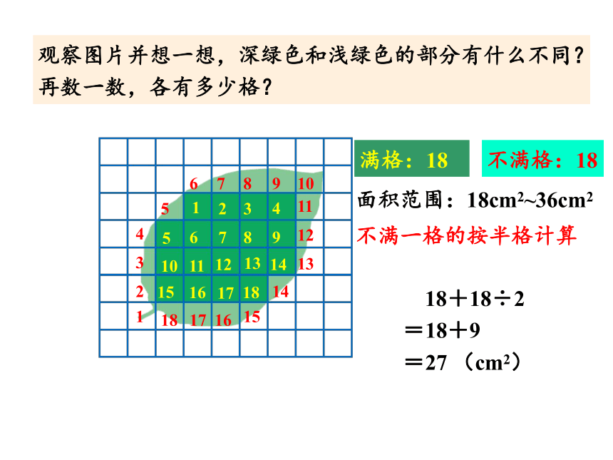 人教版五年级上册数学6 组合图形的面积（2）课件（16张PPT)