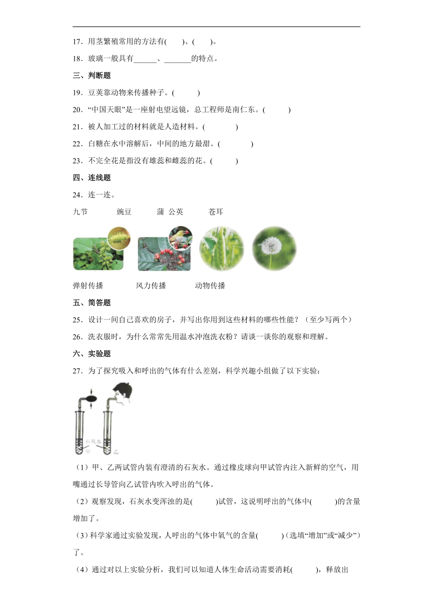 青岛版（2017）三年级下册科学期末达标测试题（含答案）