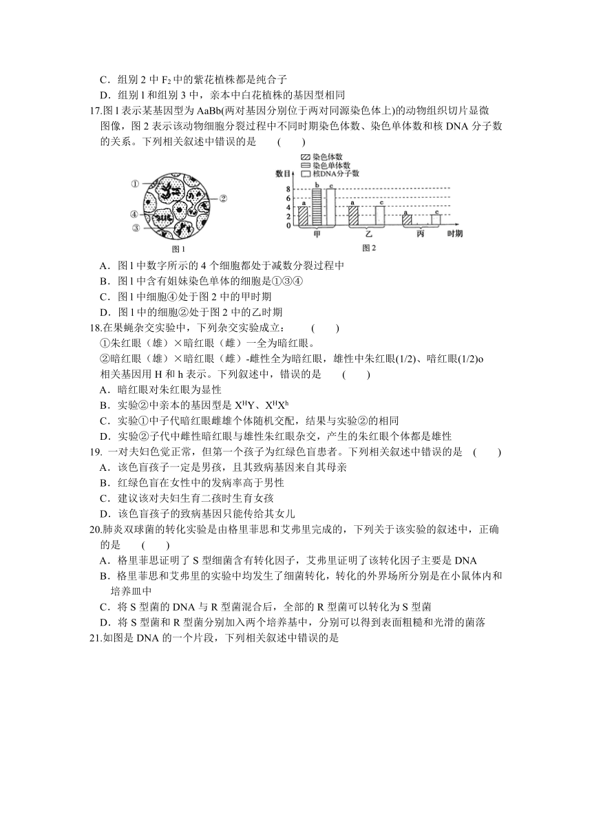 河南省名校联盟2020-2021学年高一下学期期末考试生物试题 Word版含答案