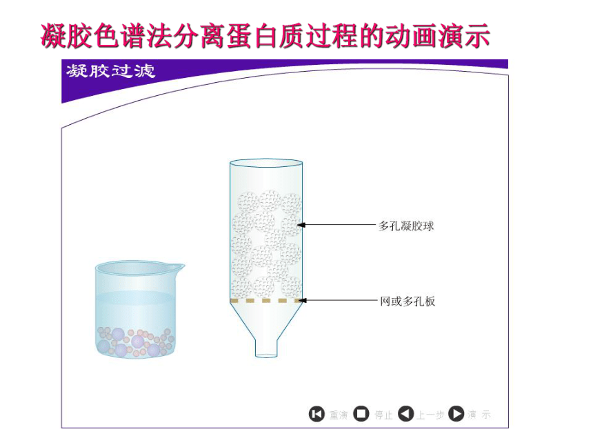 5.3血红蛋白的提取和分离课件（43张ppt）2021-2022学年高二下学期生物人教版选修1