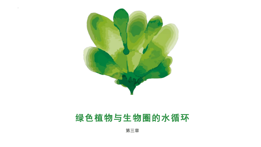 专题06 绿色植物与生物圈的水循环（课件）-2022-2023学年七年级生物上学期期中期末考点大串讲（人教版）(共20张PPT)