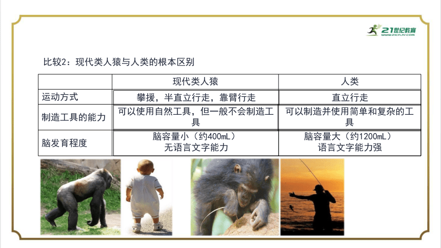 2022-2023年人教版生物学4.1.1人类的起源和发展课件(共28张PPT)