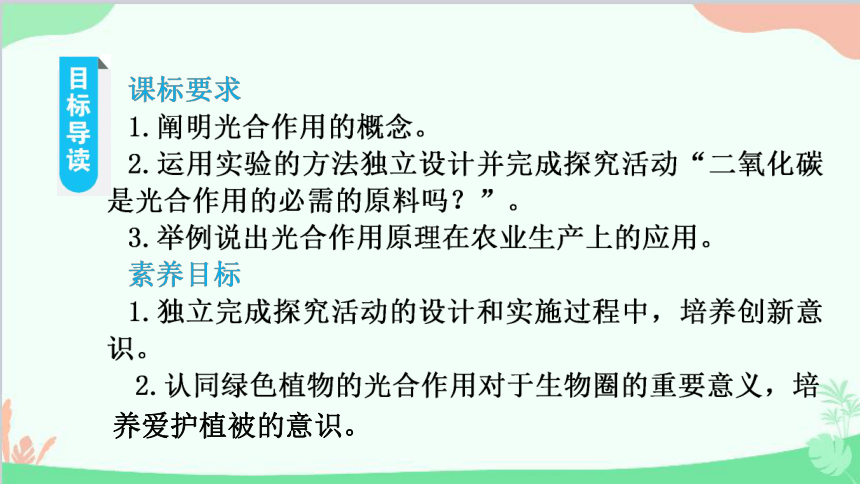 人教版生物七年级上册 3.5.1 光合作用吸收二氧化碳释放氧气 课件 (共28张PPT)