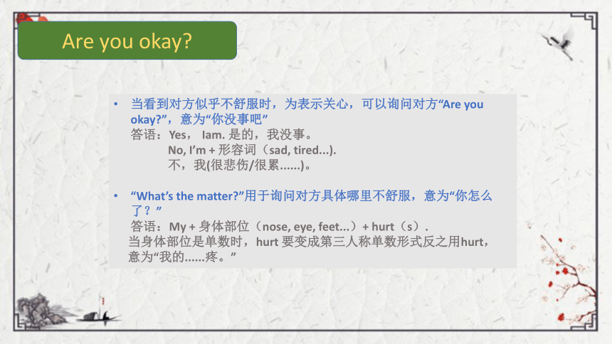 Unit 3 Lesson 17 Are You Okay？课件（11张PPT)