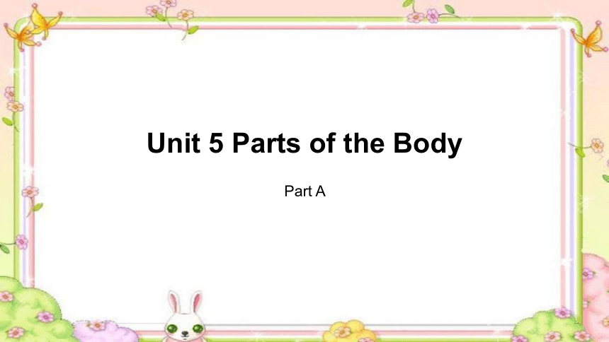 Unit 5 Parts of the Body Part A 课件(共26张PPT)