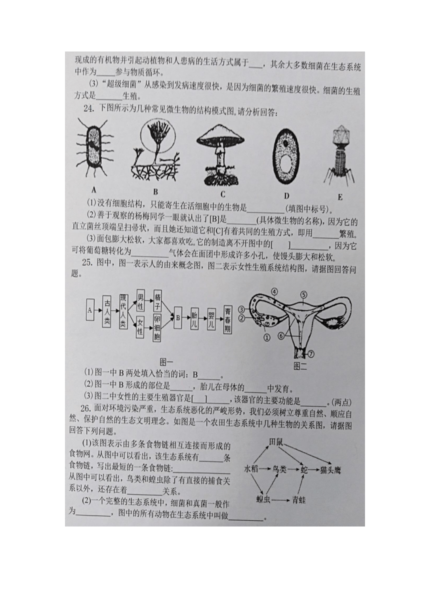 湖北省恩施龙凤初中2021-2022学年上学期八年级第一阶段检测生物试题（含答案）