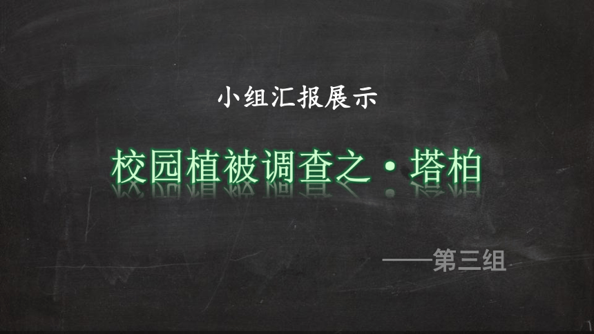 2.7  植被与自然地理环境的关系  课件（共38张幻灯片）