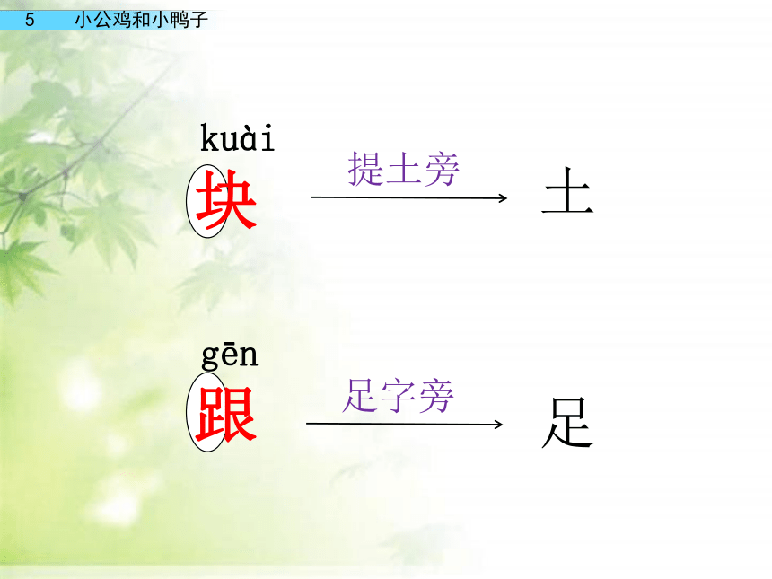 4 小公鸡和小鸭子 课件(共41张PPT)