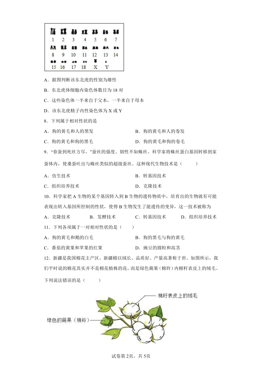 人教版八年级下册7.2.1基因控制生物的性状同步练习（word版，含解析）