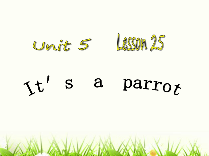 Unit5 It's a parrot.Lesson25 课件（共19张PPT）