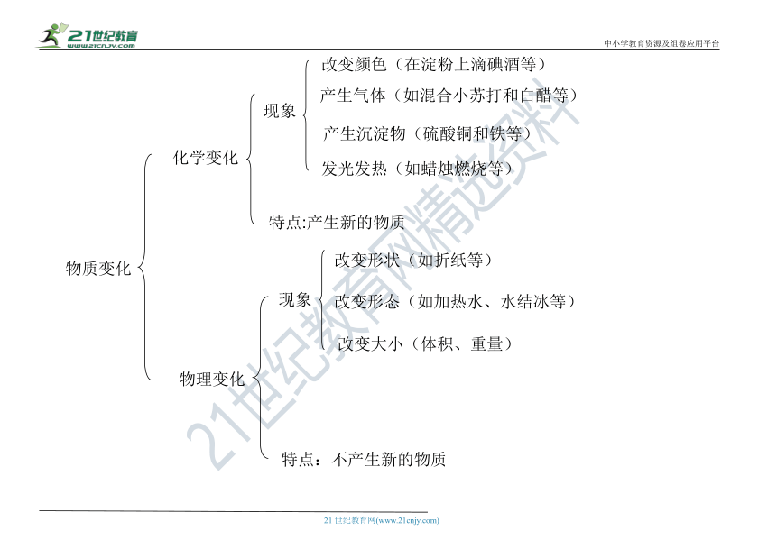 教科版（2001）六下科学期末概念图