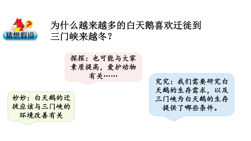 大象版（2017秋） 六年级下册1.3  环境变化与动物行为 课件（共19张PPT)