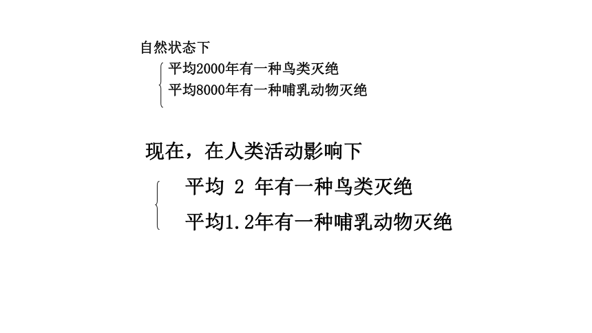 6.3保护生物的多样性课件(共43张PPT)