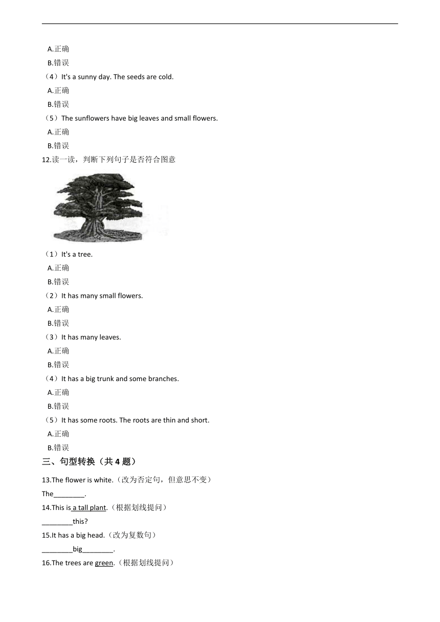 牛津上海版（试用本）英语三年级上册 Module4 Unit3 Plants 练习（含解析）