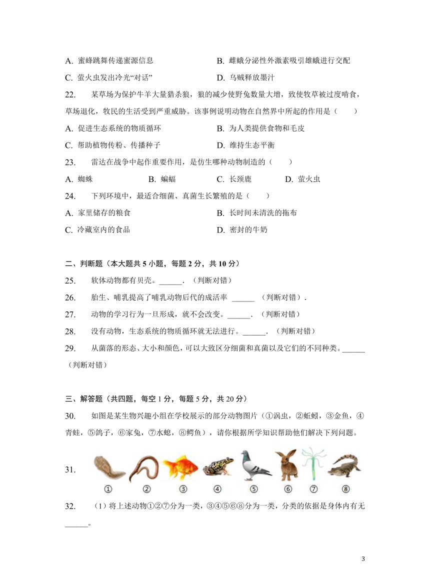 湖南省郴州市第四中学2022-2023学年八年级上学期期中生物试卷（含解析）