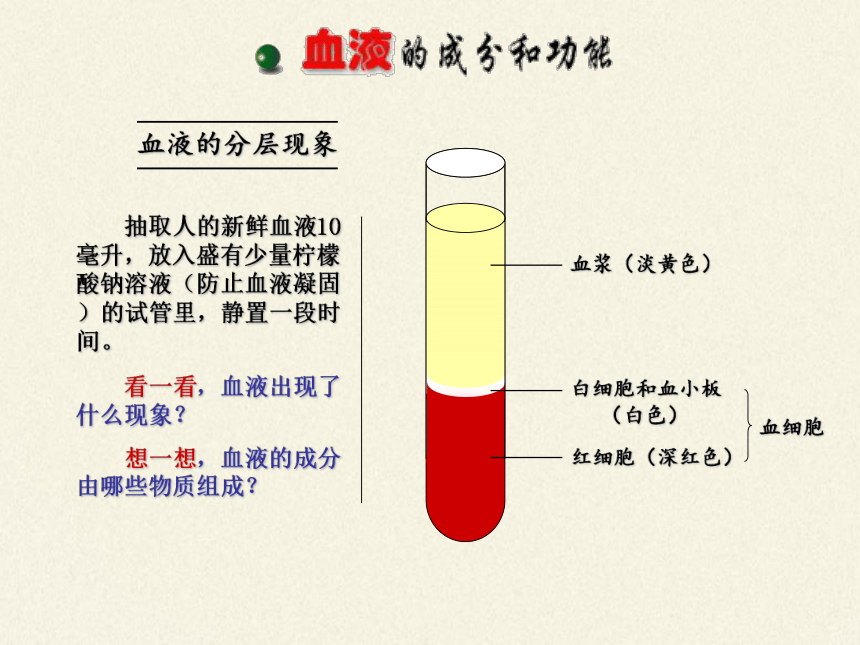 苏教版生物七年级下册 第十章 第一节 血液和血型课件(共24张PPT)