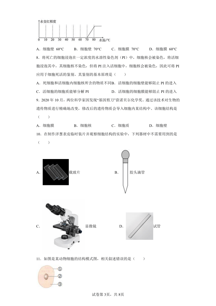 2022年浙江省中考科学专题练习：细胞（含答案）