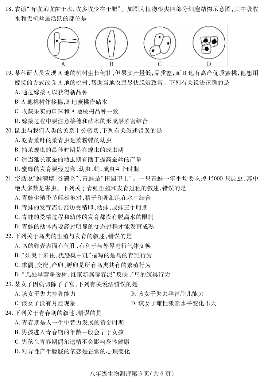 四川省内江市2022-2023学年八年级上学期期末测评生物学试题（PDF版含答案）