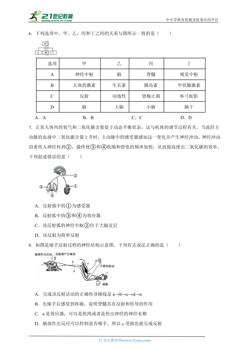 华师大版科学 八下 7.2人体生命活动的神经调节 课时训练（含答案）