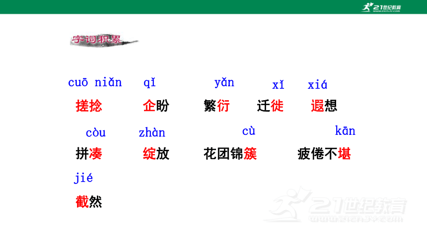 10 再塑生命的人 课件(共24张PPT)