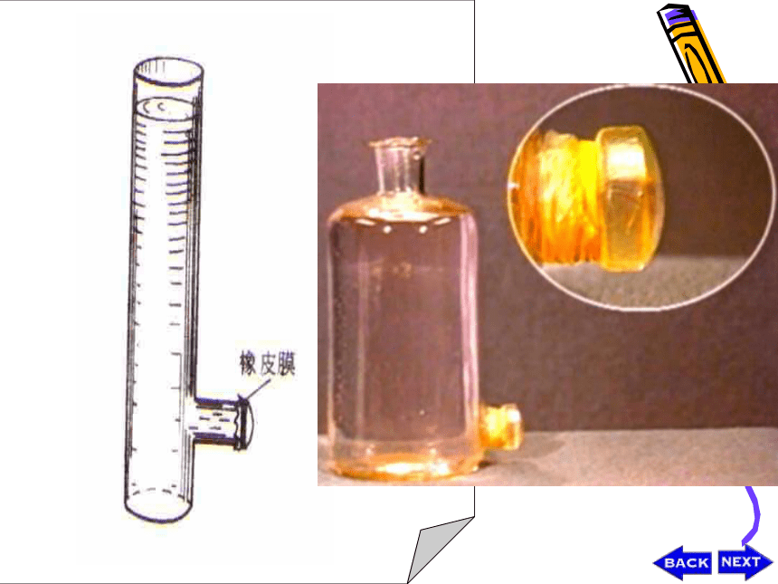 物理人教版八年级第九章第二节液体压强（含嵌入视频）（68张PPT）